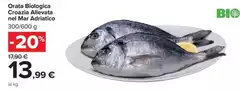 Biologica - Orata  Croazia Allevata