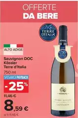 Terre d'Italia - Sauvignon DOC