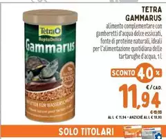 Tetra -  Gammarus