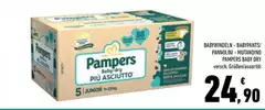 Pampers - Babypants/ Pannolini-mutandino  Baby Dry