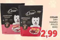 Cesar - Dry Manzo Pollo