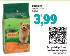 Friskies - Secco Cane