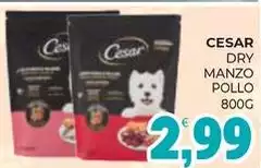 Cesar - Dry Manzo Pollo