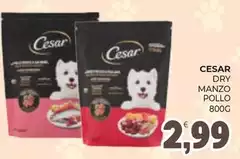 Cesar - Dry Manzo Pollo