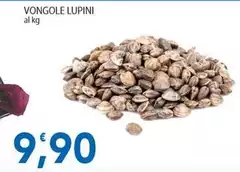 Vongole Lupini