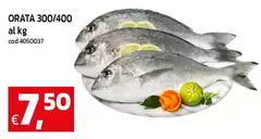 Orata 300/400