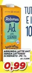 Arborea - Latte UHT Senza Lattosio Scremato