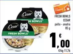 Cesar - Fresh Bowls