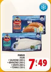 Findus - Salmone