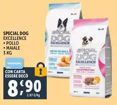 Special Dog - Excellence