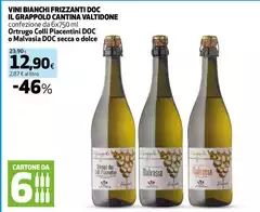 Cantina Valtidone - Vini Bianchi Frizzanti DOC Il Grappolo