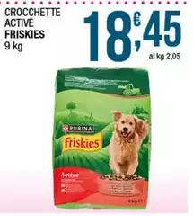 Purina - Crocchette Active Friskies