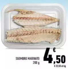 Sgombro Marinato