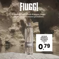 Fiuggi - Acqua Minerale Naturale Fiuggi - Acqua Minerale Naturale