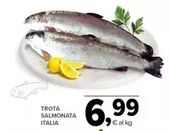 Trota Salmonata Italia Trota Salmonata Italia