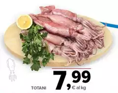 Totani Totani