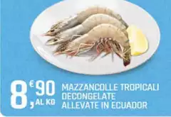 Mazzancolle Tropicali Decongelate Allevate In Ecuador