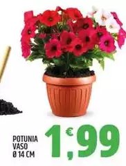 Potunita Vaso