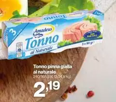 Pinna - Tonno  Gialla Al Naturale