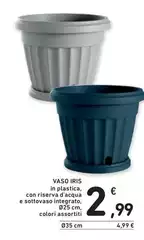 Iris - Vaso