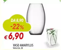 Vaso Amaryllis Vaso Amaryllis