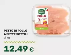 Petto Di Pollo A Fette Sottili
