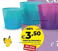 Vaso In Ceramica
