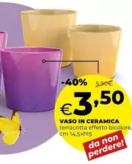 Vaso In Ceramica