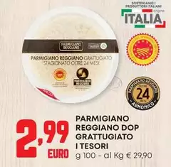 I tesori - Parmigiano Reggiano DOP Grattugiato