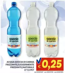 Goccia di carnia - Acqua Goccia Di Carnia Frizzante/Leggermente Frizzante/Naturale
