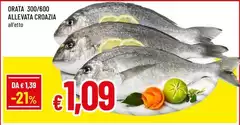 Orata Allevata Croazia