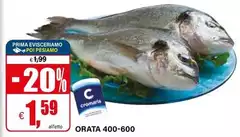 Orata 400/600