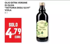 Corte viola - Olio Extra Vergine Di Oliva "fattoria Degli Ulivi"
