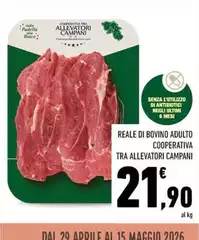 Cooperativa Tra Allevatori Campani - Reale Di Bovino Adulto
