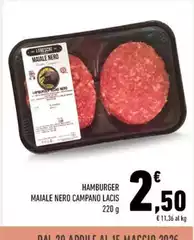 Lacis - Hamburger Maiale Nero Campano
