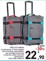 Trolley Cabina