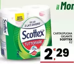 Scottex - Cartaspugna Gigante