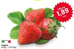 Fragole