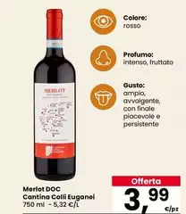 Colli euganei - Merlot DOC Colli euganei - Merlot DOC