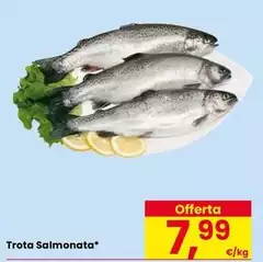 Trota Salmonata
