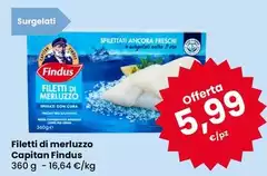 Findus - Filetti Di Merluzzo