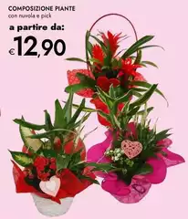 Composizione Piante Composizione Piante