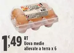 RT - Uova Medie Allevate A Terra RT - Uova Medie Allevate A Terra