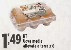 RT - Uova Medie Allevate A Terra RT - Uova Medie Allevate A Terra