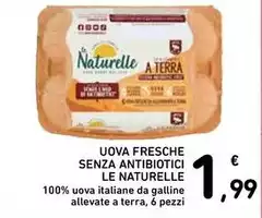 Le Naturelle - Uova Fresche Senza Antibiotici Le Naturelle - Uova Fresche Senza Antibiotici