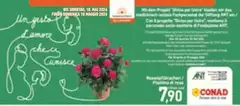 Conad - Bastoncini
