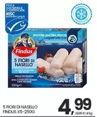 Findus - 5 Fiori Di Nasello X5-250g Findus - 5 Fiori Di Nasello X5-250g