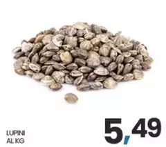 Lupini Lupini