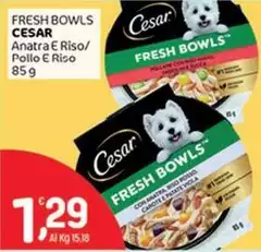 Cesar - Fresh Bowls