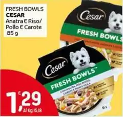 Cesar - Fresh Bowls